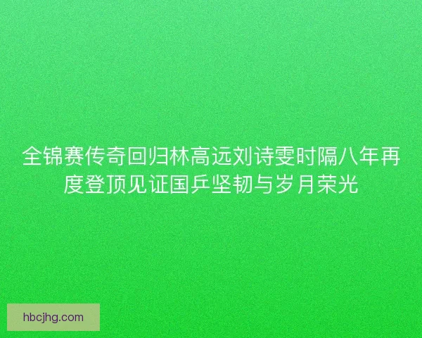 全锦赛传奇回归林高远刘诗雯时隔八年再度登顶见证国乒坚韧与岁月荣光