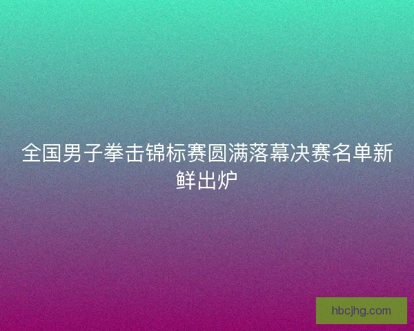 全国男子拳击锦标赛圆满落幕决赛名单新鲜出炉