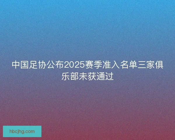 中国足协公布2025赛季准入名单三家俱乐部未获通过